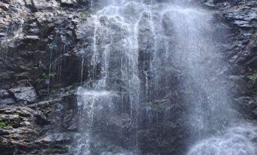 Scorusu
